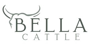 BellaCattle-Color (1)